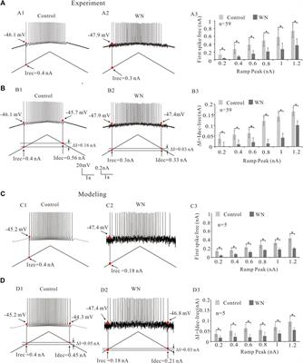 The effects of membrane potential oscillations on the excitability of rat hypoglossal motoneurons